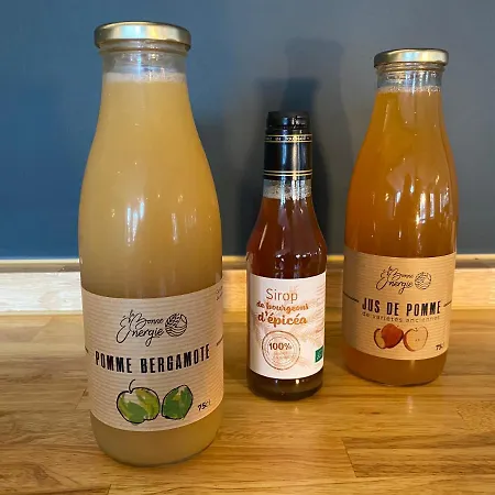 Hotel Le Miredames Castres (Tarn)