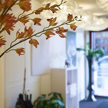 Le Miredames Castres (Tarn)