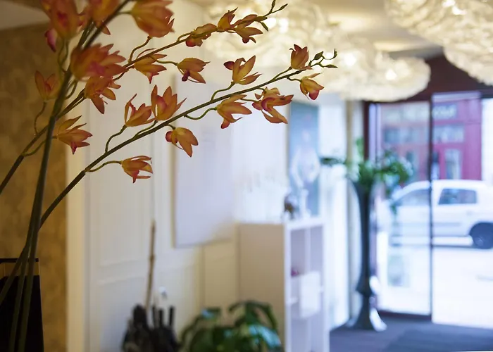 Le Miredames Castres (Tarn)